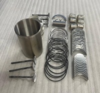 Kit Perbaikan dan Perombakan Mesin DYN 6D16, Termasuk Liner Silinder, Piston, Ring Piston, Katup, dan Set Bantalan untuk Mesin Excavator Mitsubishi