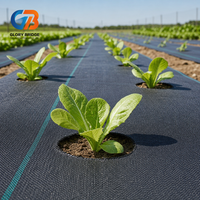 Toile de paillage noire tissée perméable pour jardin, verger, ferme, plantation de légumes et aménagement paysager