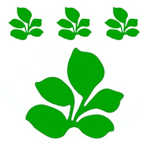 فخاخ بلاستيكية على شكل ورقة شجر فاكهة ذبابة لزجة صفراء حشرة Gnat لوح - Product Image 4