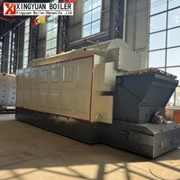 Chaudière à vapeur biomasse industrielle horizontale Xingyuan DZL à grille à chaînes et tubes fumés filetés