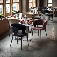 Chaise de salle à manger en métal de qualité certifiée, montage rapide, résistante aux déformations, idéale pour les espaces restreints, luxe en plein air