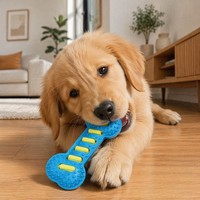 Jouet à mâcher pour chien en TPR, os couineur texturé, jouet interactif pour animaux de compagnie, pour la dentition, pour jouer à l'intérieur et à l'extérieur