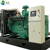 Générateur d'énergie bioreacteur à gaz naturel et biogaz JCWY à capacité personnalisée avec contrôle automatique et système de purification du biogaz