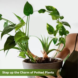 Tùy Chỉnh Leo Vòng Rõ Ràng Acrylic Cây Trellis U Vòng Tròn S Tổ Ong Chậu Cây Cây Hỗ Trợ Cho Trong Nhà - Product Image 2