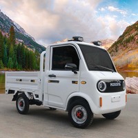 Quadricycle électrique à 4 roues, tricycle électrique, véhicule utilitaire électrique, tricycles électriques, voiture à 4 roues
