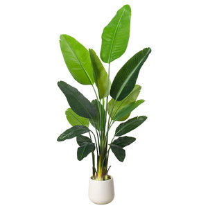 Albero di Banano Artificiale Grande <span class=keywords><strong>in</strong></span> Plastica per Decorazione Casa Giardino Matrimonio Pianta <span class=keywords><strong>in</strong></span> Vaso Moderna <span class=keywords><strong>Vendita</strong></span> all'Ingrosso - Product Image 5