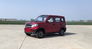 Véhicule à faible vitesse de grande taille 2025 - Product Image 3