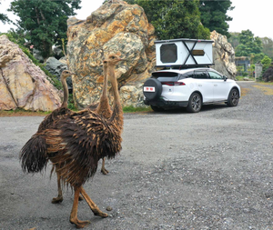 جديد شاحنة خارجية 600 واط solar <span class=keywords><strong>camping</strong></span> rv <span class=keywords><strong>auto</strong></span> travel trailer aluminium 3-4 شخص سيارة خيمة مسقوفة خيام مسقوفة بغلاف صلب - Product Image 5