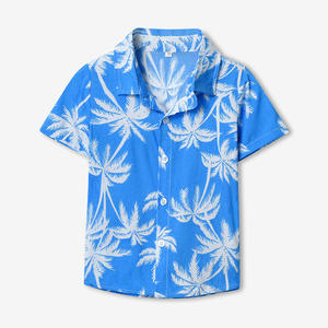 All'ingrosso abbigliamento per bambini bavero monopetto a manica corta estiva Casual da spiaggia camicia hawaiana per ragazzi - Product Image 5
