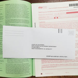 Paquete de Formulario de Aplicación EDD Personalizado - Product Image 2