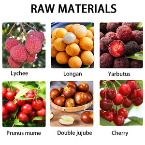 Máquina Extractora de Semillas de Cereza de Nuevo Estilo Personalizada, Máquina Deshuesadora de Cereza de Alta Calidad - Product Image 4