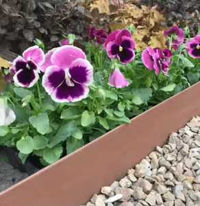 Garden Corten Steel Landscape Grass <b>Edging</b> Ornament Art Deco Style Weather Resistant Waterproof Customizable Dimensions <b>Black</b> - Product Image 2