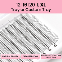 Extensions de cils de volume d'usine 2D 0.05 0.07 0.1MM noir rose bleu ventilateurs de cils préfabriqués tige courte Extensions de cils russes