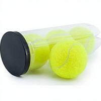 Balle de tennis pressurisée BTYP WQ-02 professionnelle hautement élastique - Prix usine, facile à contrôler pour l'entraînement sportif