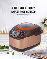 Cuiseur de riz électrique multifonctionnel, 5l, outil professionnel pour la maison, cuiseur de riz