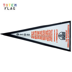 定制毛毡三角旗，多色数码印刷，用于大学庆典活动，定制毛毡三角旗 - Product Image 2