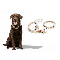 Nouvelle laisse pour chien en corde de paracorde de nylon de 10 mm, de qualité supérieure, personnalisée, artisanale, durable, de luxe