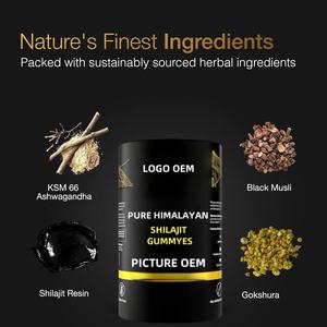 מפעל סיטונאי shilajit gummies תוסף תזונה למבוגרים עם חומצות אמינו מינרלים תמציות צמחים - Product Image 3