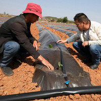Ruban d'irrigation goutte à goutte subaquatique 100 % plastique Daringfish, DN 16/22 mm, idéal pour les cultures en rangs