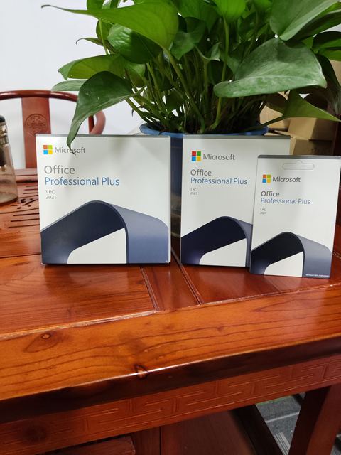 Office Professional Plus 2021 English Paper Key Card for Operating System-in Stock