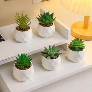 Plantas suculentas artificiales <span class=keywords><strong>de</strong></span> oficina Mini decoración verde en maceta para estación <span class=keywords><strong>de</strong></span> trabajo Decoración interior <span class=keywords><strong>de</strong></span> escritorio Plantas <span class=keywords><strong>de</strong></span> imitación <span class=keywords><strong>de</strong></span> estilo Ins. - Product Image 4