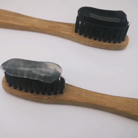 Dentifrice blanchissant naturel sans fluorure à base de charbon actif de noix de coco et de bambou OEM