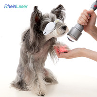 Hayvan Klinikleri Evcil Hayvan 810nm 980nm Lazer Terapi Cihazı Veteriner Lazer Fizyoterapi Ekipmanı Köpekler Kediler Atlar ve Tavşanlar için