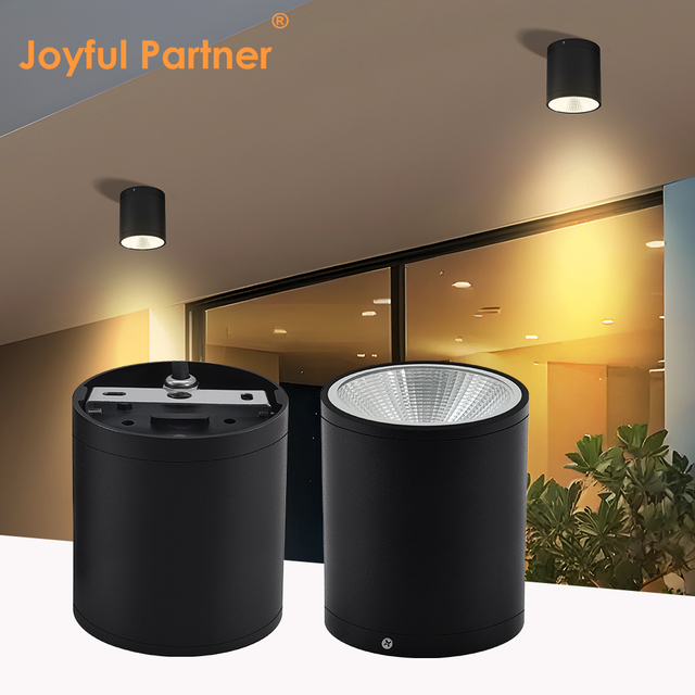 Most Popular Surface Mounted Adjustable Aluminum Wall Light IP65 Waterproof High Lumen Outdoor COB LED Ceiling Light Dimmable