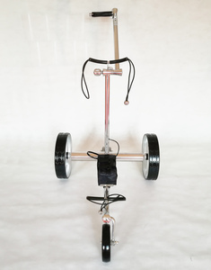 Voiturette de golf en acier inoxydable, résistante à la rouille et aux intempéries, équipée d'une batterie au lithium - Product Image 5