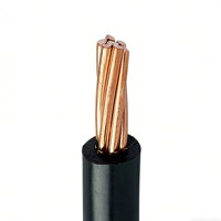 Cable Eléctrico Aislado en PVC 450/750v 6491x H07v-r / H07v-u / Bv / Bvr, Cable de Shanghái, Puerto de Ningbo