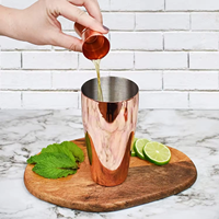 Ensemble de shaker à cocktails 6 pièces 750 ml, shaker de bar, kit de barman, accessoires de bar, doseur, pilon, cuillère, verseurs, or rose