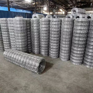 Cages à poulets galvanisées pour poules pondeuses, cages à volailles, cages à poulets pondeuses utilisées dans les fermes avicoles, <span class=keywords><strong>grillage</strong></span> de clôture - Product Image 6