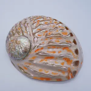 CELION New Zealand Blue Striped Abalone Shell Salvia Burning Bowl New Zealand Red Striped Abalone Shell