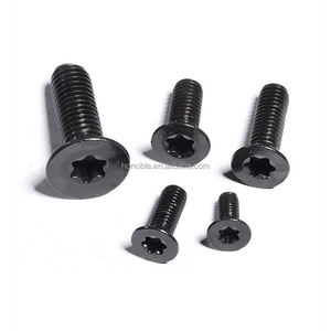 Vis taraudeuses à tête cylindrique à <span class=keywords><strong>douille</strong></span> hexalobulaire ISO 14585 pour <span class=keywords><strong>petit</strong></span> <span class=keywords><strong>four</strong></span> de séchage accessoire fixation et assemblage d'équipement de séchage - Product Image 6