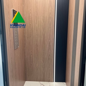 Ascensor de Pasajeros con Aire Acondicionado a Bajo Precio, con Decoración de Espejo Grabado, para Casa, Villa, Hotel, Elevadores a Precios Competitivos - Product Image 5