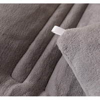 Couette d'Hiver Réversible en Velours de Lait Épaisse Taille King Queen, Vente Chaude Ins Populaire, Couette Chaude et Confortable