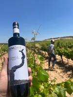 Vino Tinto Monastrell de Alta Calidad, Seco, DOP Jumilla, 14.5% ABV, 750ml, Vino de Mesa, Exportado de España para Horeca