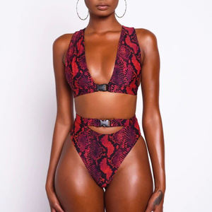YY5144-Bikini brasileño con estampado de cebra, traje de baño personalizado, conjunto ecológico, estilo vendaje, ropa de playa - Product Image 1