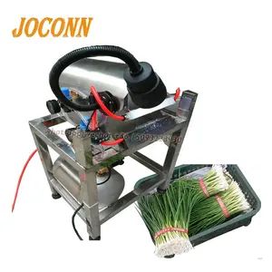 2022 new design High quality jet lettuce spinach celery cabbage leek mud removing cleaning machine without water