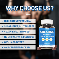 Gomitas de Creatina de Marca Propia OEM, Suplemento para Aumentar la Energía Muscular y la Recuperación Muscular Durante el Ejercicio