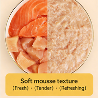 Nourriture pour chats, repas complet et équilibré, directement de l'usine |   Nourriture humide pour animaux de compagnie à la texture de mousse douce, saveur double poulet et bœuf, OEM personnalisé