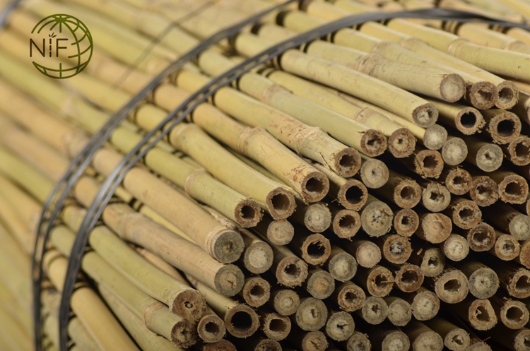 Подставка для растений, бамбуковые палочки, держатель для поддержки бамбукового тростника