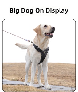 Pettorina per Cani Personalizzata Anti-Soffocamento Imbottita, Fornitura del Produttore, in Tessuto Oxford, Anti-Trazione per Addestramento - Product Image 4