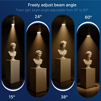 Spot LED sur rail moderne noir 15W 3000K blanc chaud orientable CRI 90 pour salle d'exposition certifiée en gros
