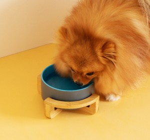 Jouets à mâcher écologiques pour chats et chiens, protège la colonne cervicale, grand bol pour animaux <span class=keywords><strong>de</strong></span> compagnie, fournitures pour animaux - Product Image 4