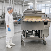 Machine automatique de revêtement par rideau pour ligne de production continue de produits alimentaires en usine de transformation d'aliments surgelés