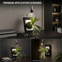Soporte de pared para exhibición de helecho de cuerno de ciervo con luz de cultivo, soporte de exhibición de plantas hecho a medida