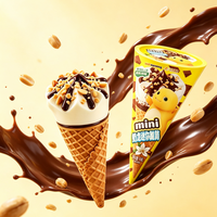 Cornets de crème glacée instantanés premium, saveurs chocolat, noix, épices, herbes, mini cornets croustillants, crème glacée molle, marque 18