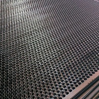 Panneaux métalliques perforés de qualité industrielle, mailles anti-obstruction, tamis en fer, mailles perforées en acier inoxydable