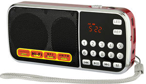 LCJ L-088AM Portable Mini AM/FM Radio 600mAh MP3 Player USB/TF Support Built-in Speaker For Gurbani/Punjabi - Product Image 3